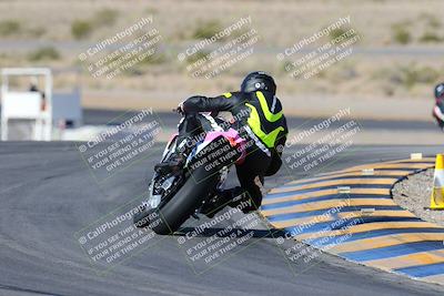 media/Feb-03-2024-SoCal Trackdays (Sat) [[767c60a41c]]/2-Turn 11 (10am)/